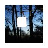 LuminAID Halo