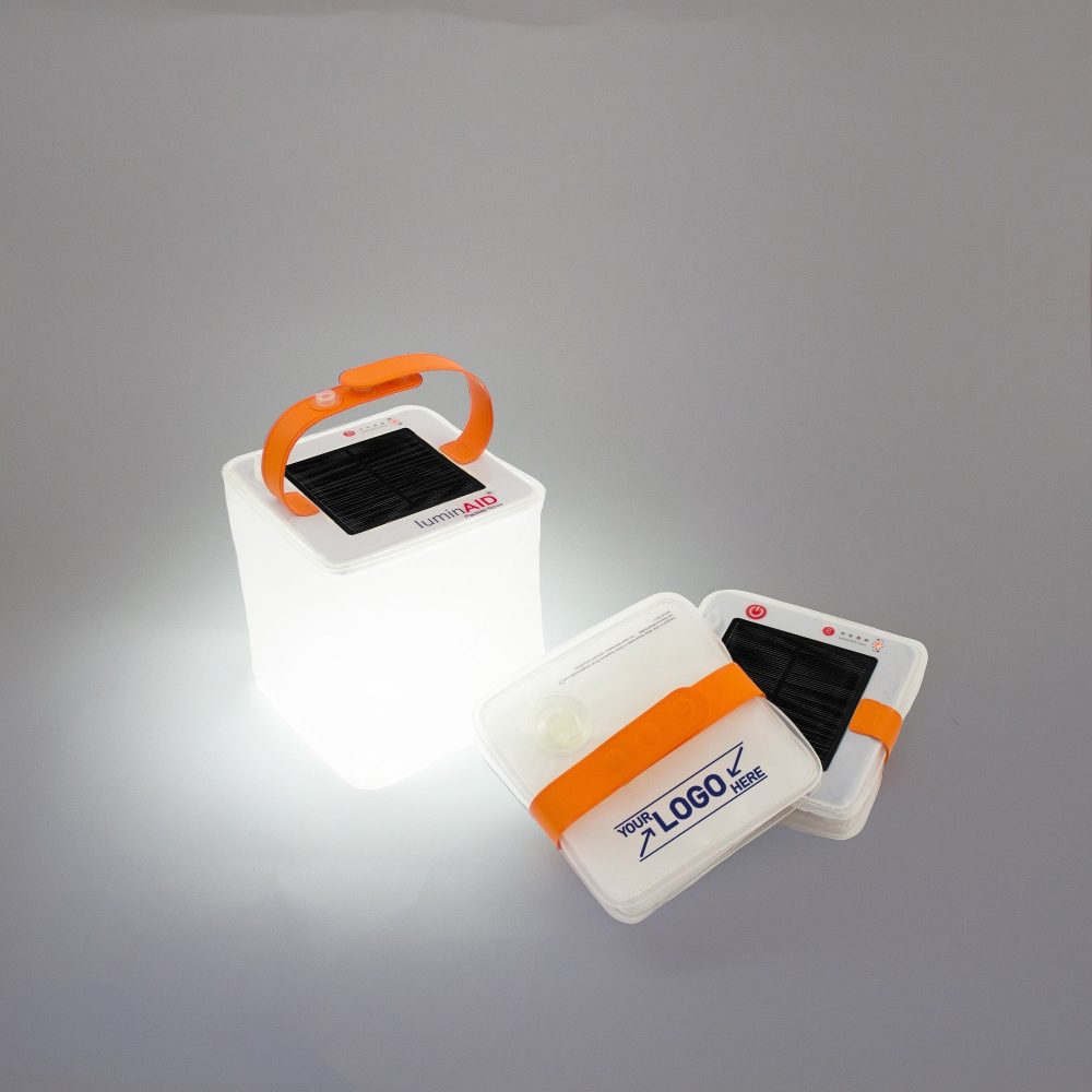 Custom LuminAIDs Logo